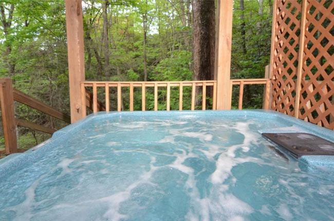 #3690 Bear Creek Lodge Hatchertown المظهر الخارجي الصورة